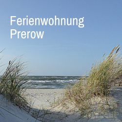 Ferienwohnung Prerow - Ostseeinsel Darß
